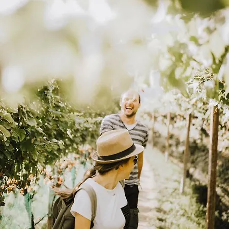 Baecksteinerhof Κατάλυμα σε φάρμα *