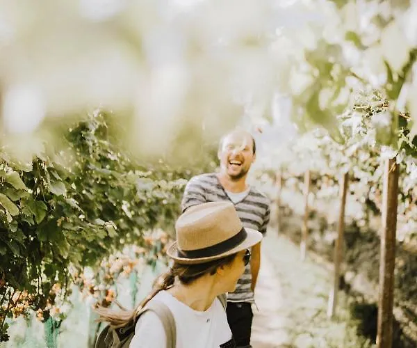 Baecksteinerhof Çiftlik konaklama *